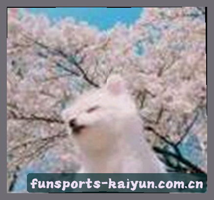 王刚
